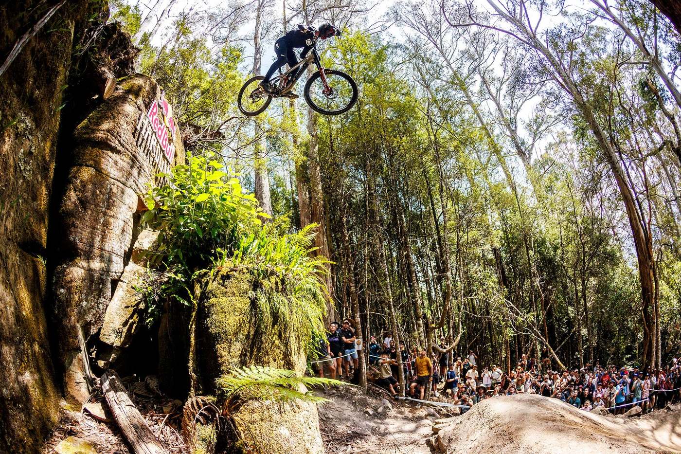 A rider on the downhill track at Maydena Bike Park, Tasmania